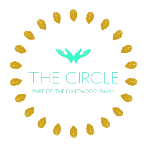 The Circle Logo removebg preview